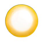 cis_wafer