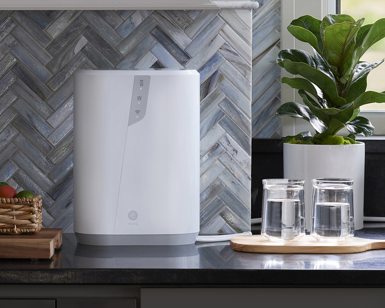 eSp_2023_LS_0201_CROP2